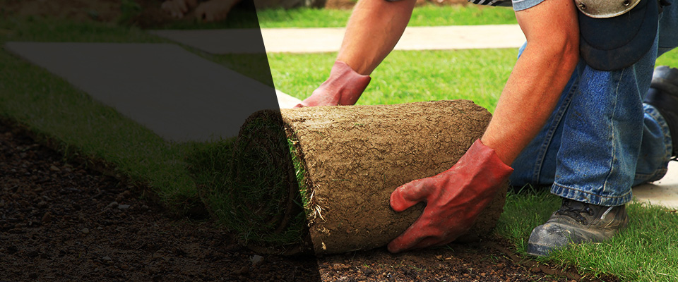 Wrightsville Landscapers